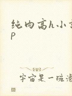 纯肉高h小说np