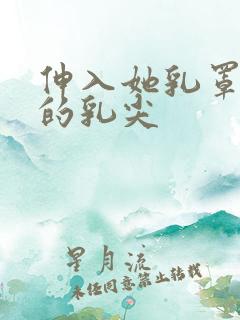 伸入她乳罩揉她的乳尖