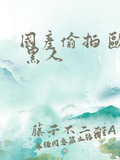 国产偷拍 欧美 黑人