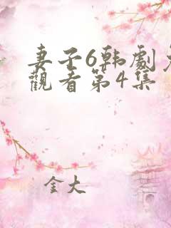 妻子6韩剧免费观看第4集