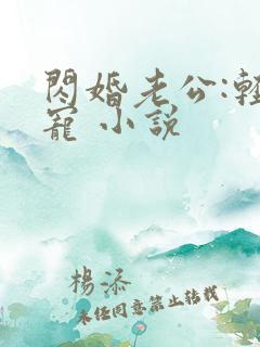 闪婚老公:轻点宠 小说