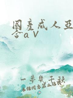 国产成人亚洲综合a∨