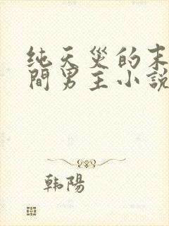 纯天灾的末世空间男主小说