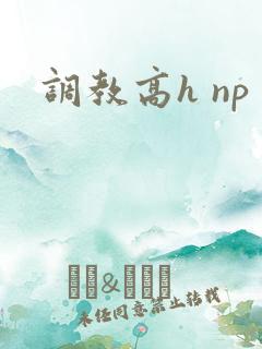 调教高h np