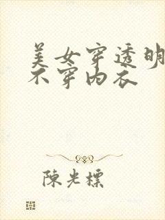 美女穿透明衣服不穿内衣