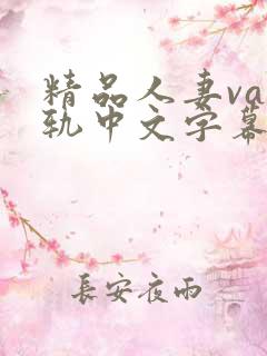 精品人妻va出轨中文字幕