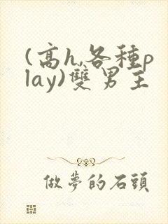 (高h,各种play)双男主