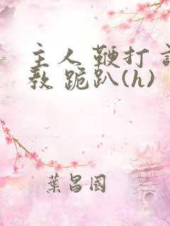 主人 鞭打 调教 跪趴(h)