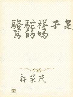 骆驼祥子是老舍写的吗