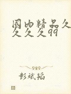 国内精品久久久久久久99