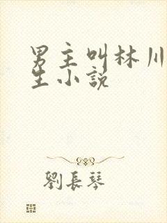 男主叫林川的重生小说