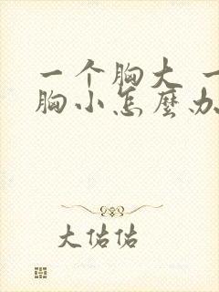 一个胸大 一个胸小怎么办