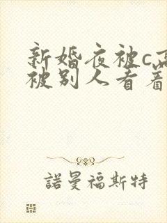 新婚夜被c高h被别人看着