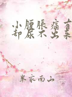 小腹胀痛有尿意却尿不出来