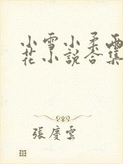 小雪小柔两大校花小说合集
