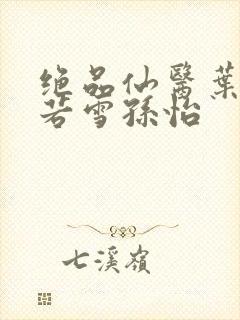 绝品仙医叶辰夏若雪孙怡