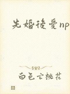先婚后爱nph
