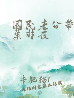 国民老公带回家叶非夜