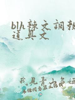 blh辣文调教道具文