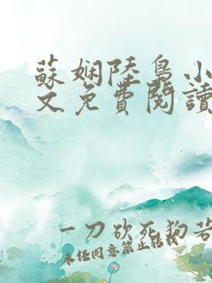 苏娴陆枭小说全文免费阅读无弹窗