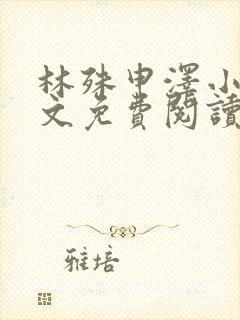 林殊申泽小说全文免费阅读无弹窗