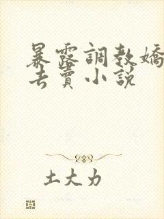 暴露调教娇妻出去卖小说