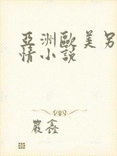 亚洲欧美另类激情小说