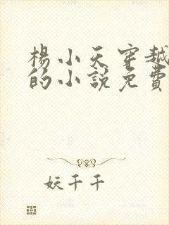 杨小天穿越武魂的小说免费阅读无弹窗