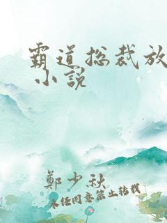 霸道总裁放肆爱 小说