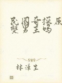 民国奇探原著是双男主吗