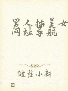 男人插美女视频网址导航