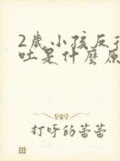 2岁小孩反复呕吐是什么原因引起的