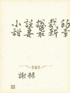 小说总裁的失忆甜妻最新章节