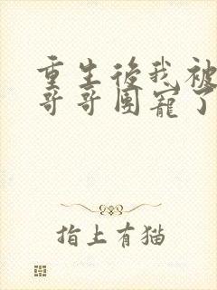 重生后我被四个哥哥团宠了贺元鹿