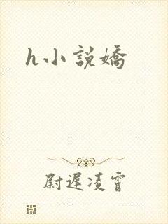 h小说娇