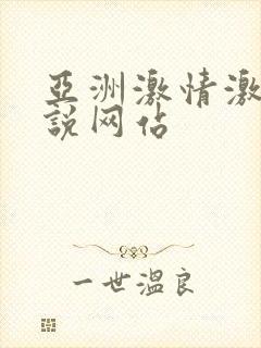 亚洲激情激情小说网站