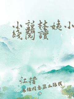小说林姨小浩在线阅读