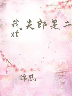 我夫郎是二嫁txt