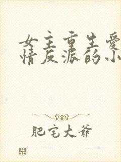 女主重生爱上痴情反派的小说