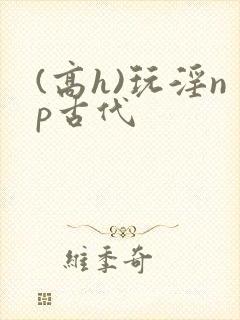 (高h)玩淫np古代