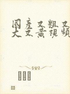 国产又粗又长又大又黄视频