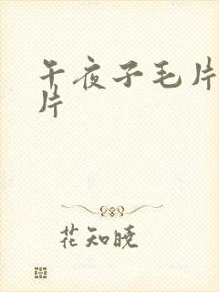 午夜子毛片试看片