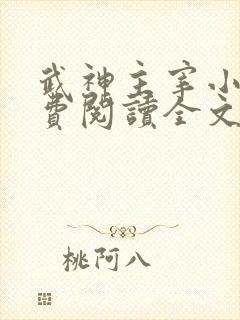 武神主宰小说免费阅读全文无弹窗