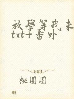 放学等我未删减txt+番外