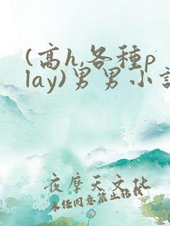 (高h,各种play)男男小说