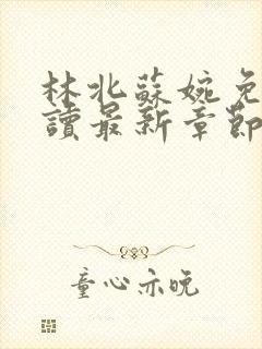 林北苏婉免费阅读最新章节笔趣阁