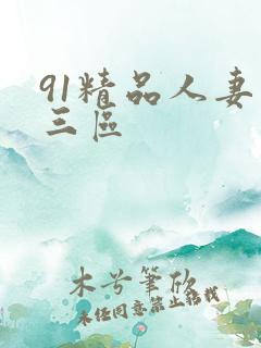 91精品人妻二三区