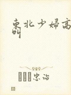 东北少妇高潮大叫