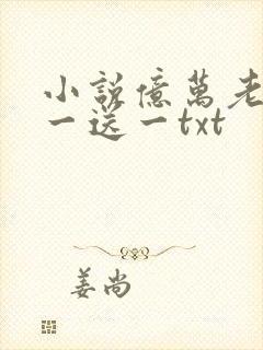 小说亿万老婆买一送一txt