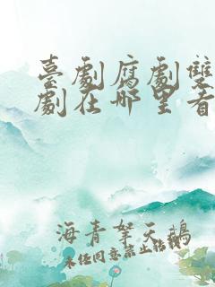 台剧腐剧双男主剧在哪里看